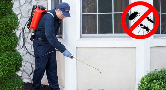 Salıpazarı Böcek İlaçlama böcek ilaçlama ve haşere kontrolü — ilaclama-tr.com